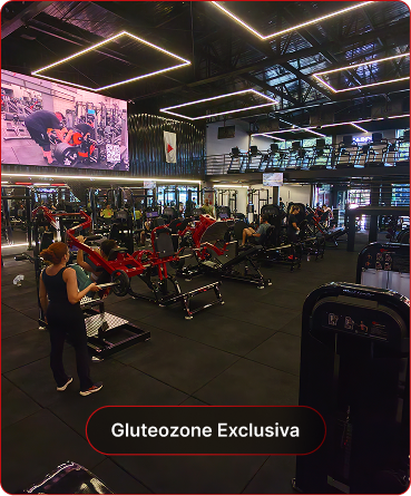 gluteozone-exclusive.png
